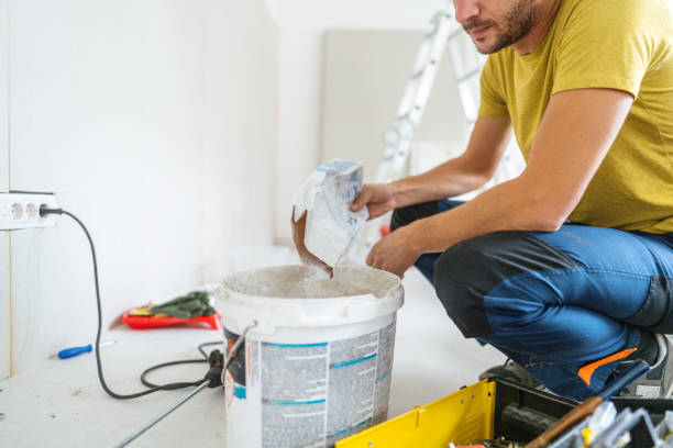 Best Mold Remediation for Rental Properties  in Council Grove, KS